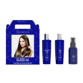 RAYWELL Shine Filler Kit 2 x 150 ml; 1 x 80 ml (RR483)